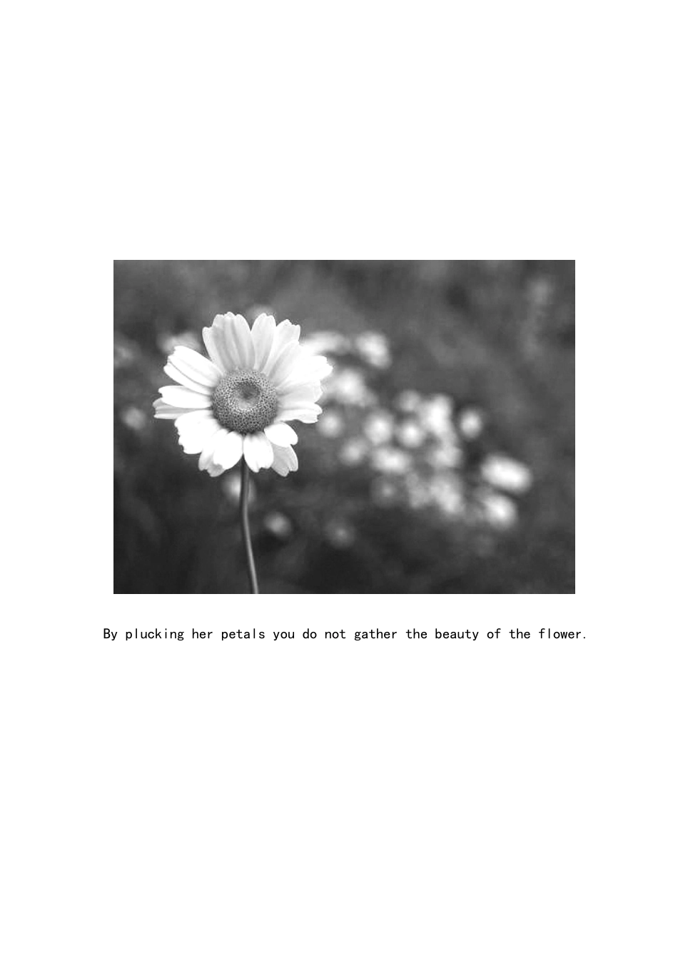 福建省教师招聘考试白皮书-内文.pdf_第1页