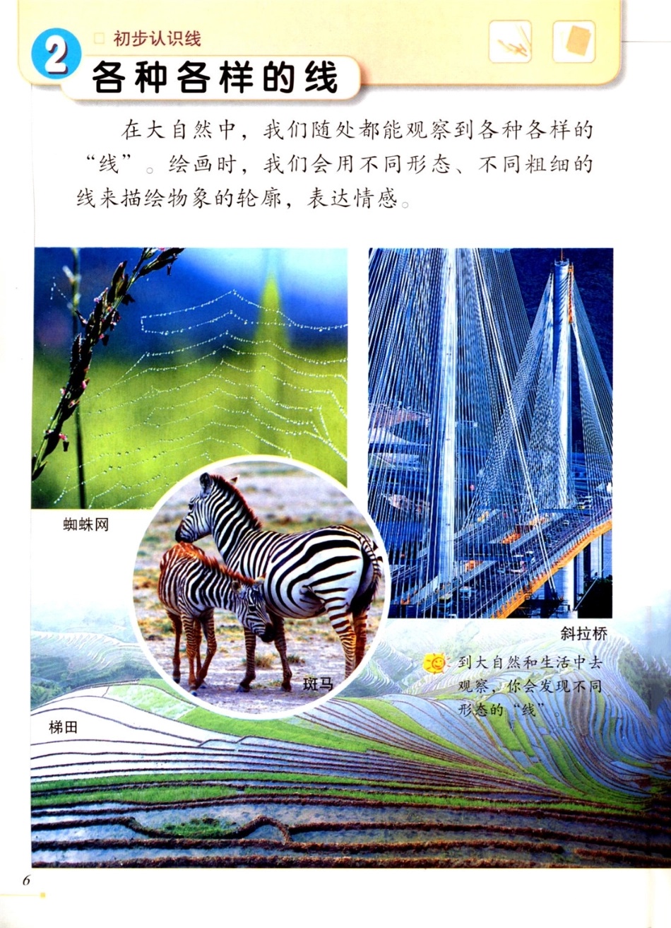 二年级下册美术冀美版电子课本.pdf_第3页