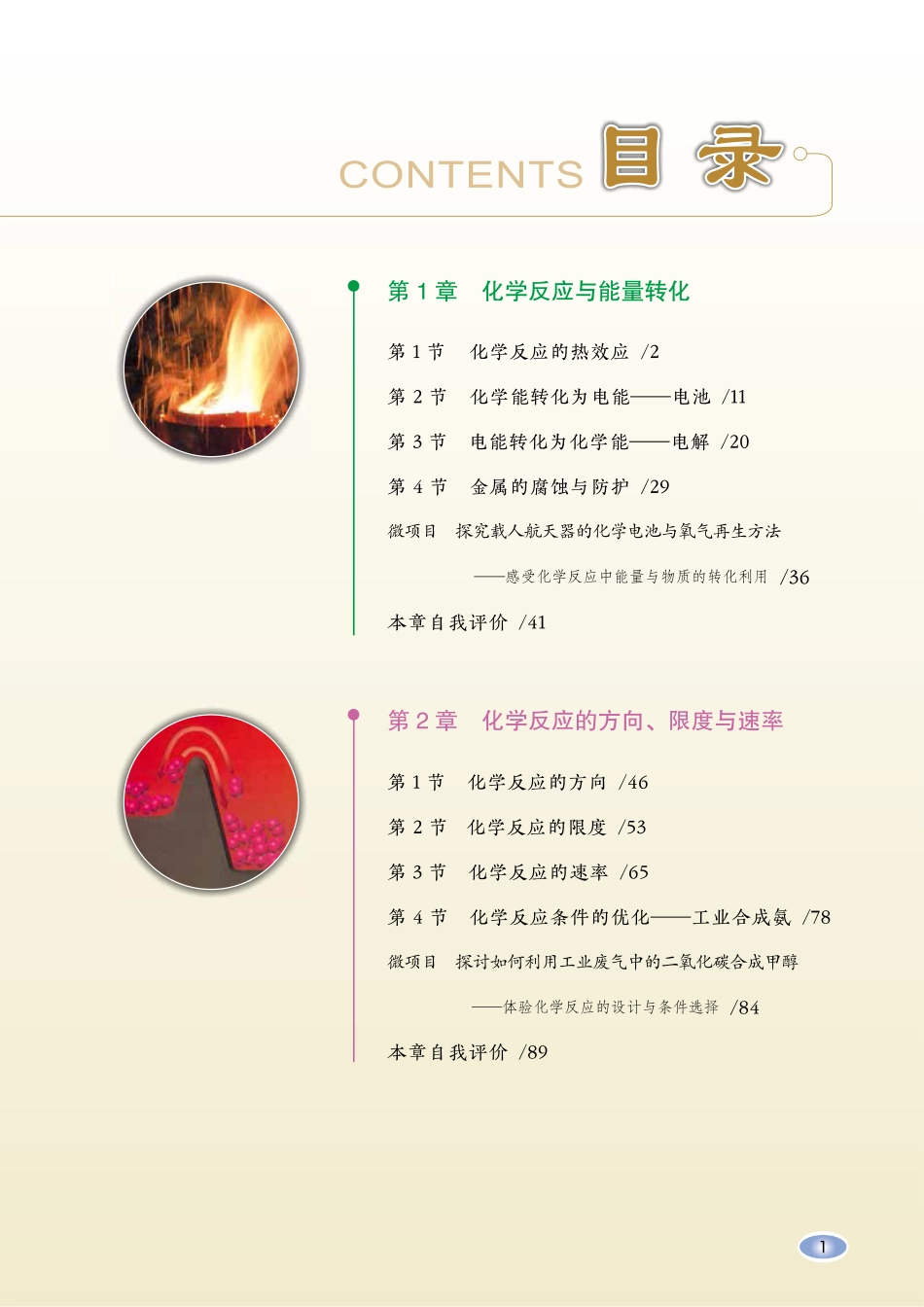 2019鲁科版高中化学选择性必修1.pdf_第2页