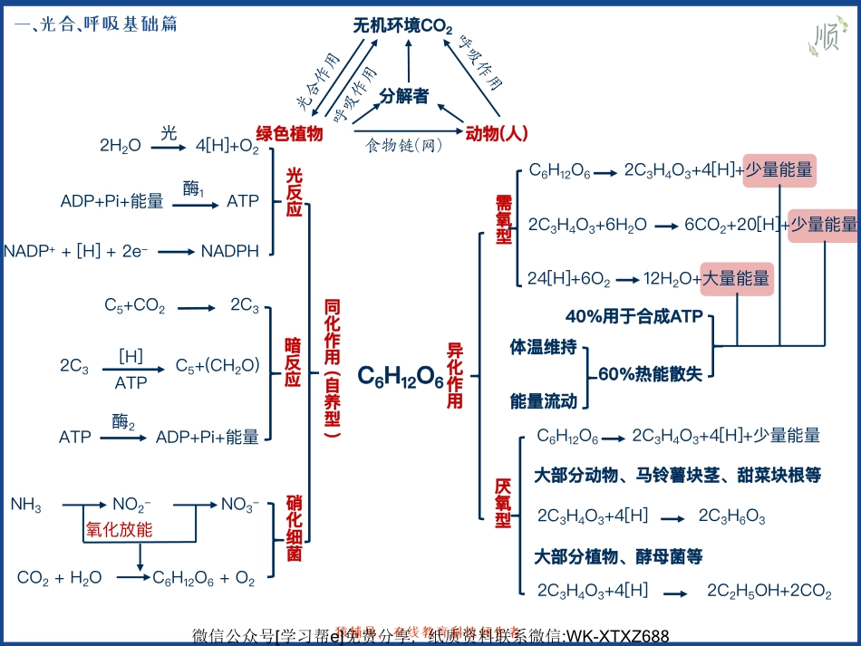 D_冲刺班-细胞代谢.pdf_第2页