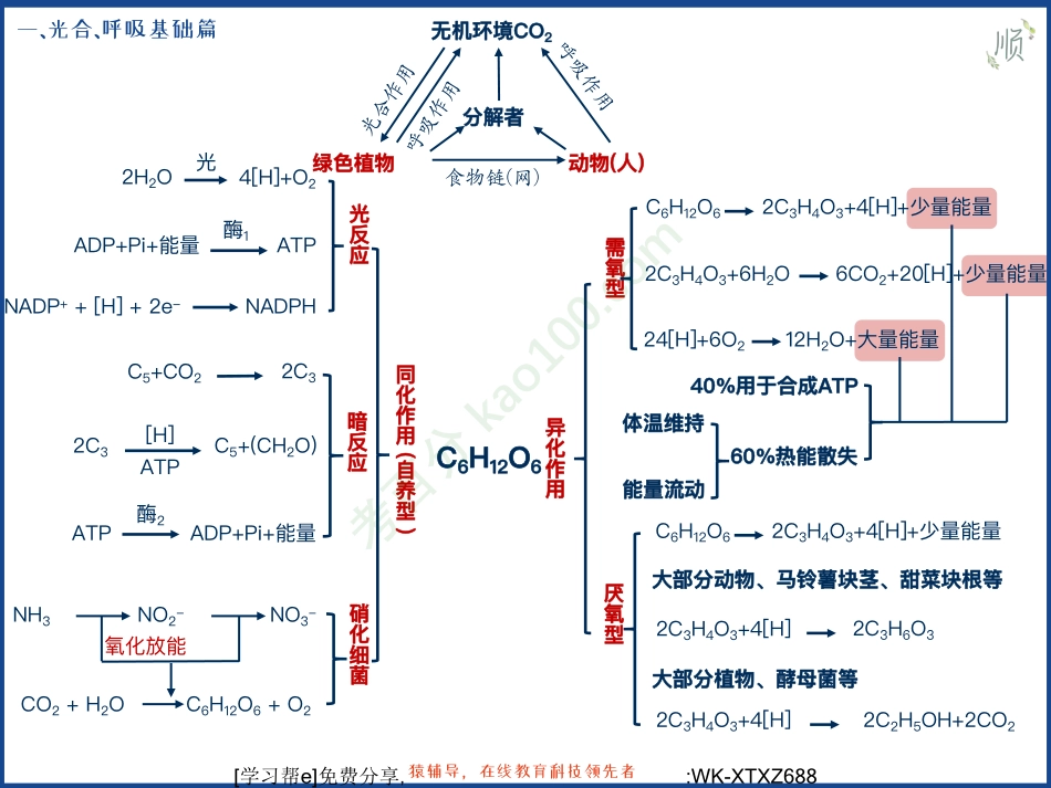 D_冲刺班-细胞代谢(1).pdf_第2页