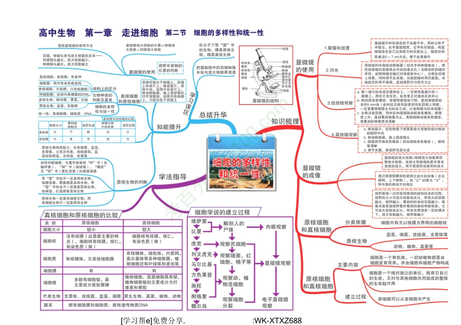 D_高中生物全套思维导图（高清版）.pdf_第2页