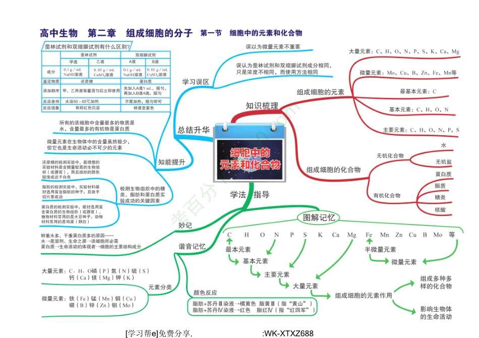 D_高中生物全套思维导图（高清版）.pdf_第3页