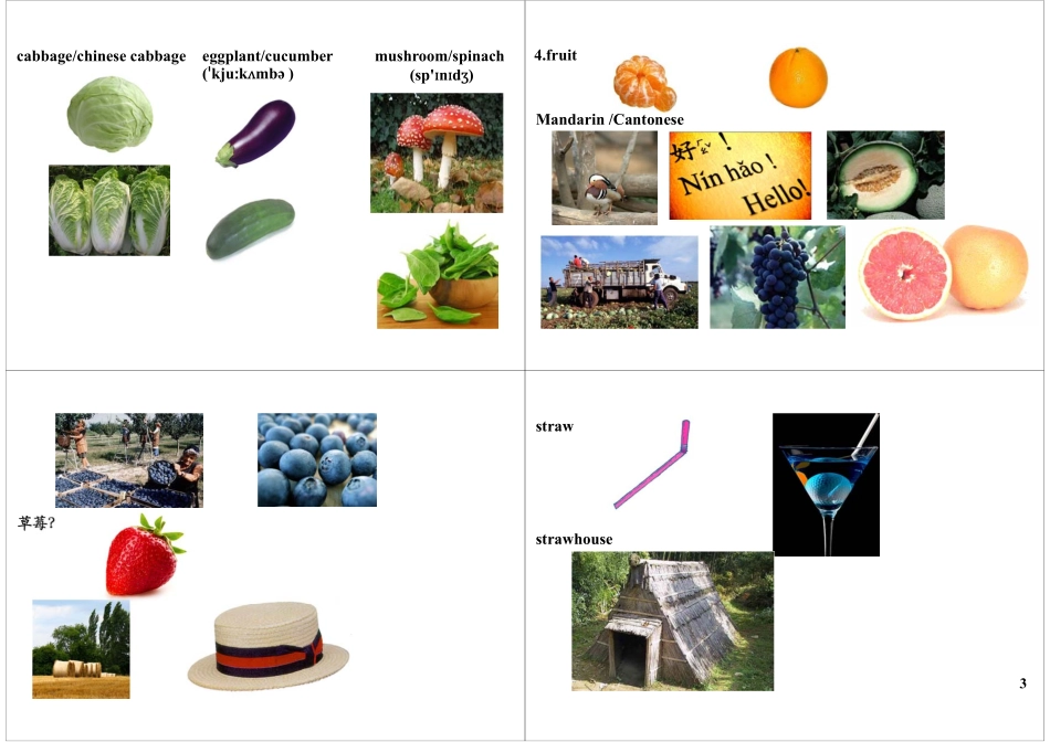 Module7-8 基础提高与扩展2(1).pdf_第3页