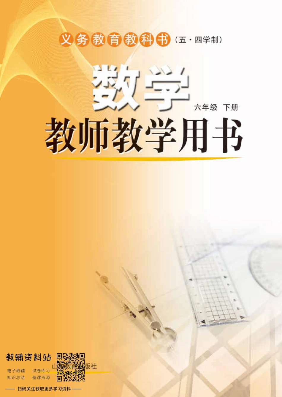 六年级下册数学鲁教版教师用书.pdf_第1页