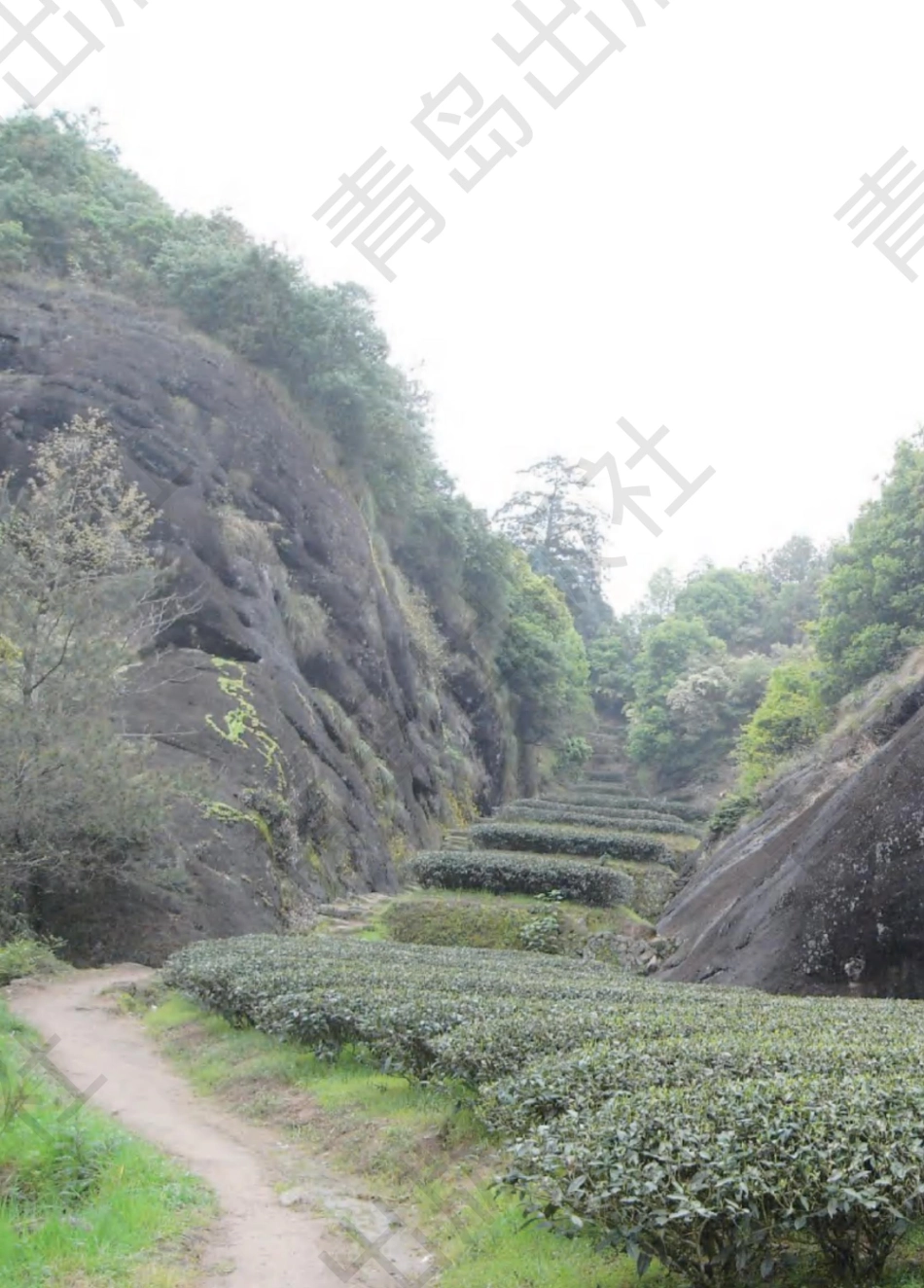 三年级下册科学青岛五四制电子课本.pdf_第3页