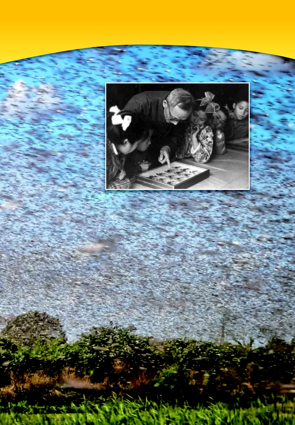 五年级下册科学教科版电子课本.pdf_第3页