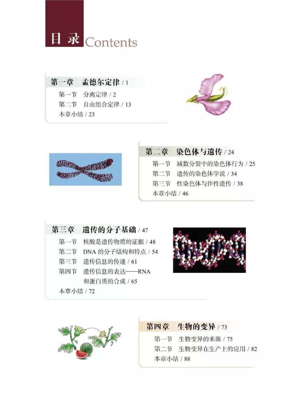 浙科版高中生物必修2《遗传与进化》电子课本(1).pdf_第2页