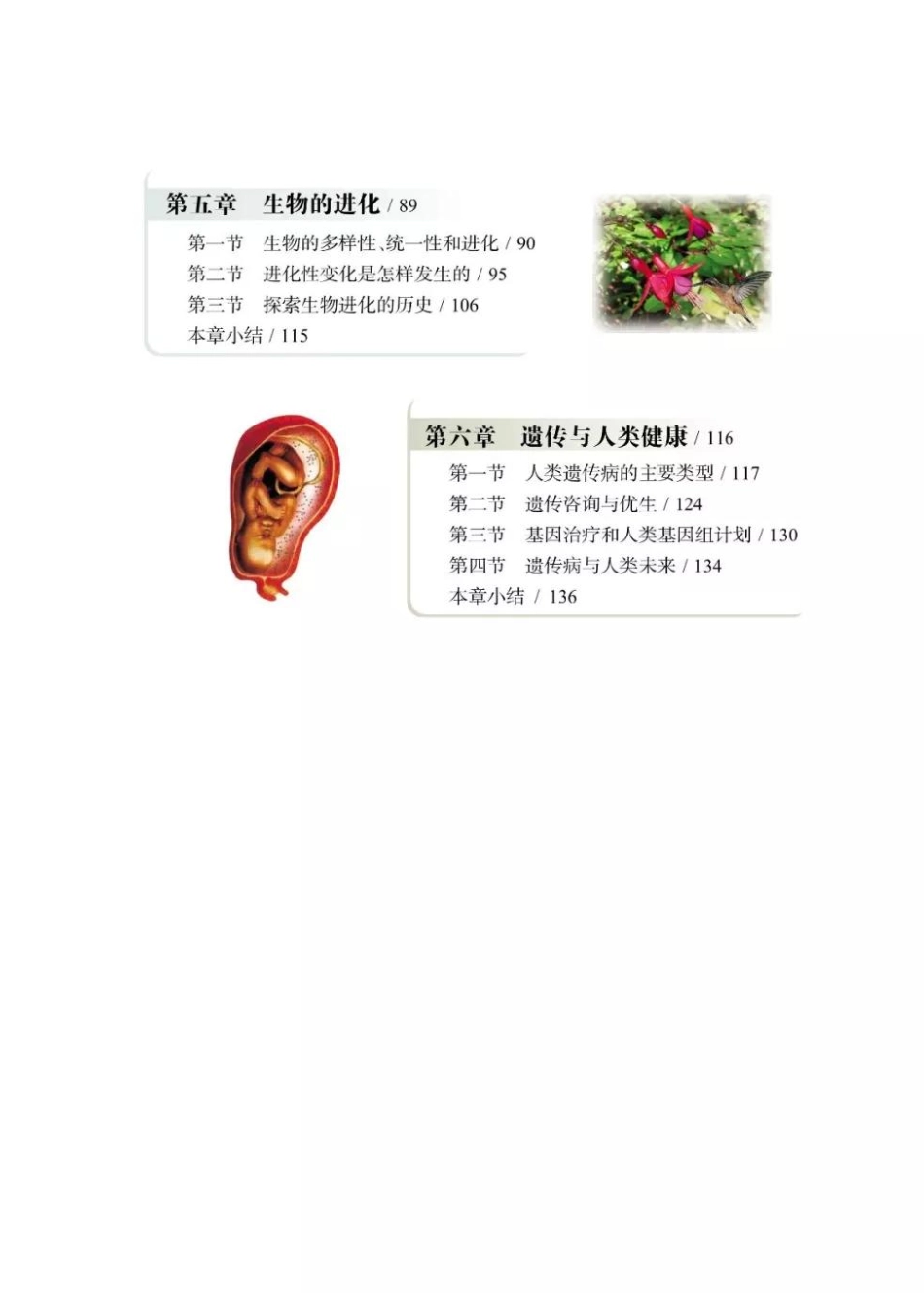 浙科版高中生物必修2《遗传与进化》电子课本(1).pdf_第3页