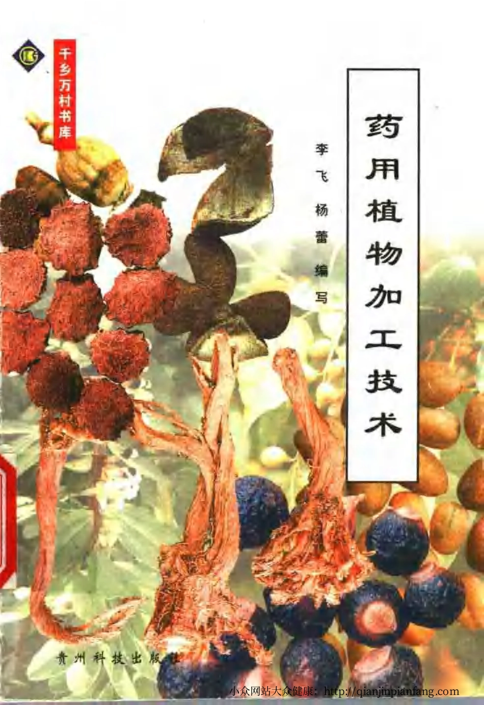 药用植物加工技术（李飞、杨蕾）.pdf_第1页
