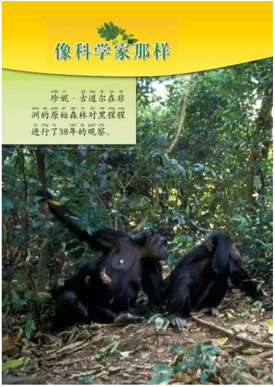 一年级上册科学教科版电子课本.pdf_第2页