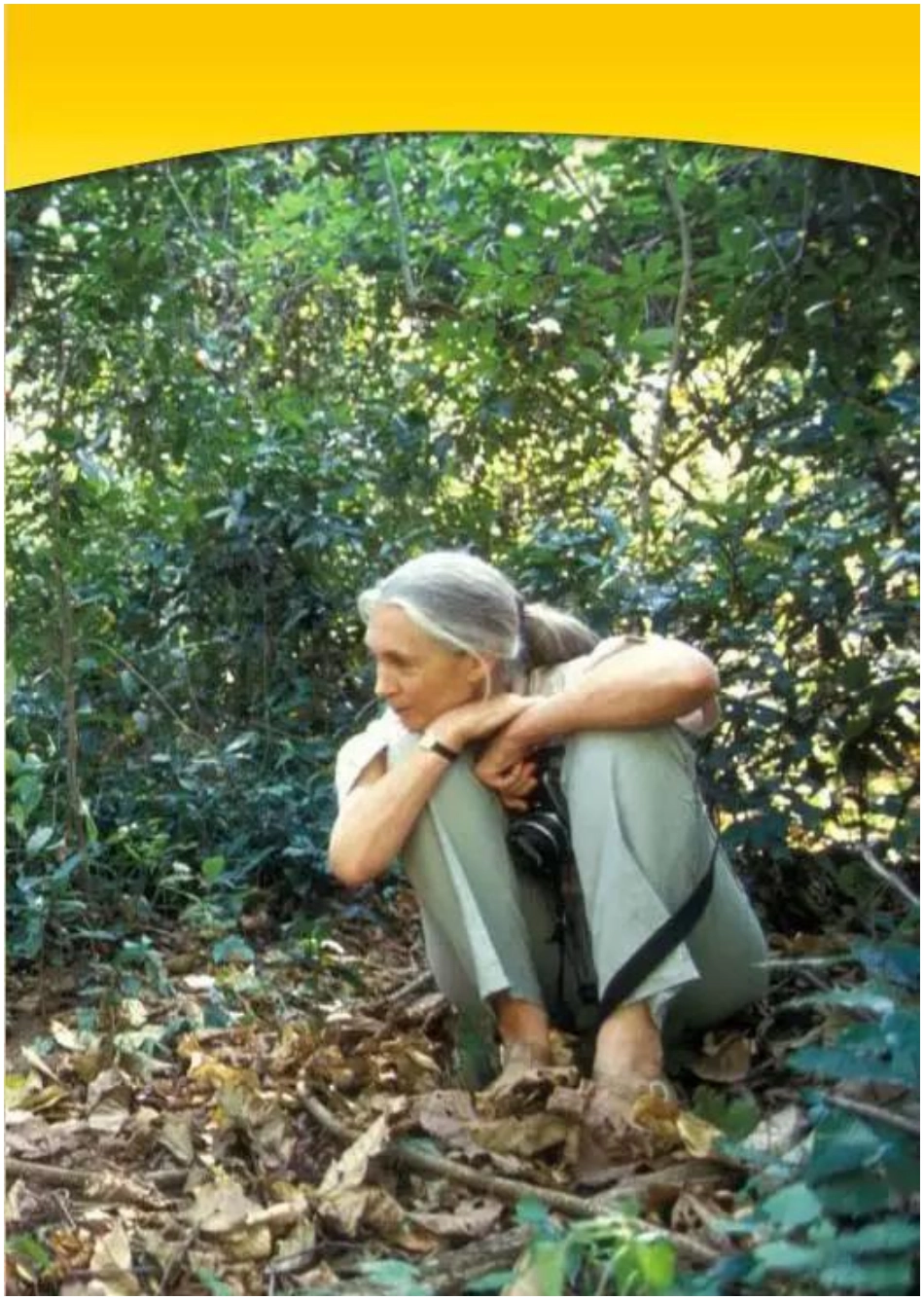 一年级上册科学教科版电子课本.pdf_第3页