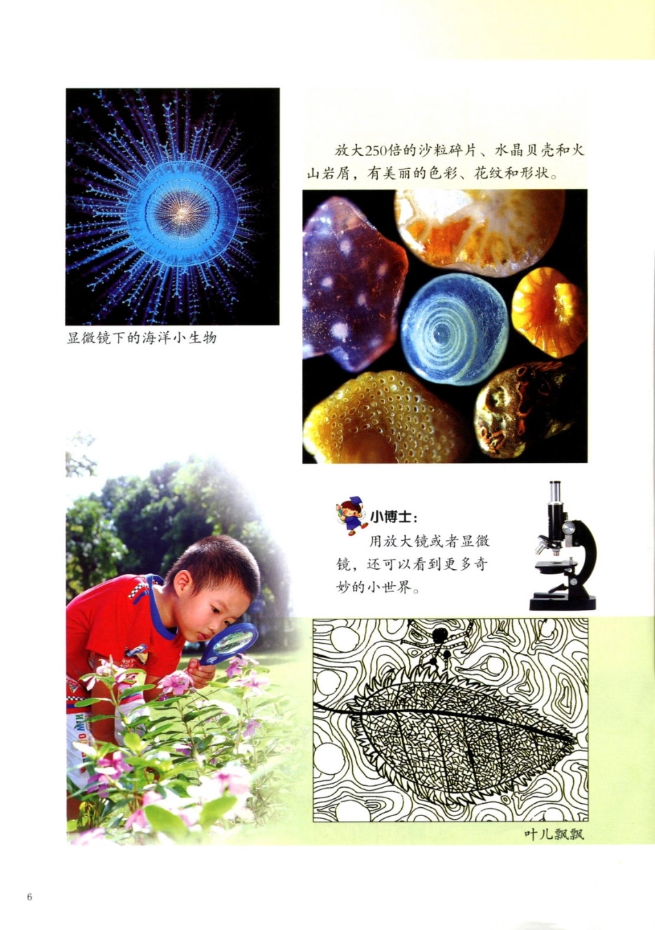 一年级上册美术岭南版电子课本.pdf_第3页