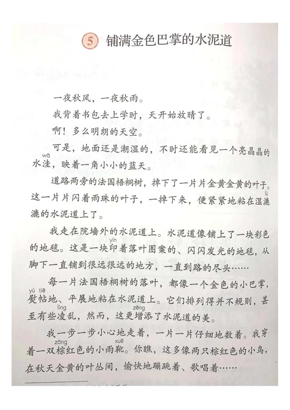 预备第1课预习材料《铺满金色巴掌的水泥道》.pdf_第1页