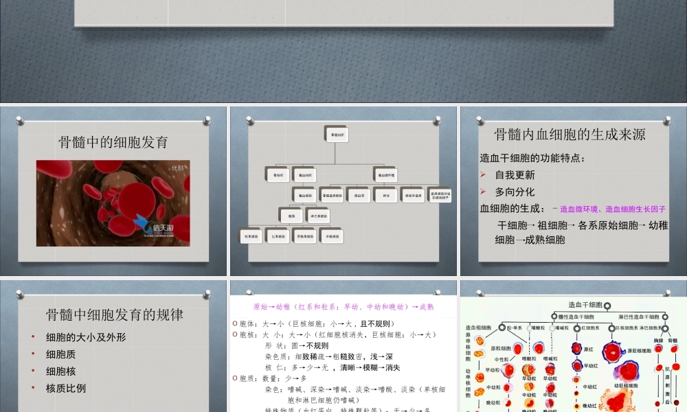 a7.白细胞疾病实验检诊断(1)(1).ppt