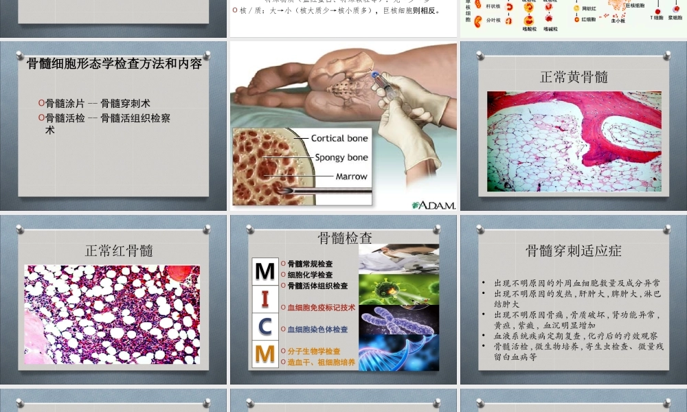 a7.白细胞疾病实验检诊断(1)(1).ppt