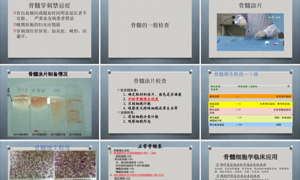 a7.白细胞疾病实验检诊断(1)(1).ppt