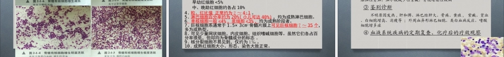 a7.白细胞疾病实验检诊断(1)(1).ppt