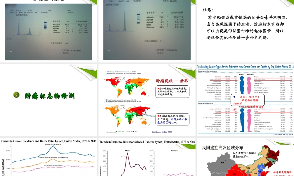 b5体液、感染免疫检查.ppt