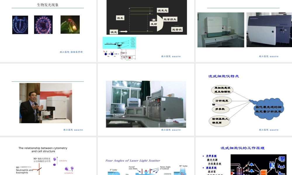c6细胞免疫学检测和流式细胞术.ppt