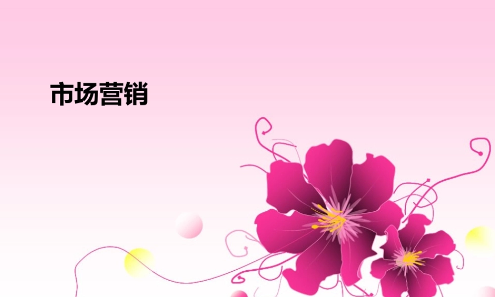 市场营销(刘宁)ppt40770(1).ppt