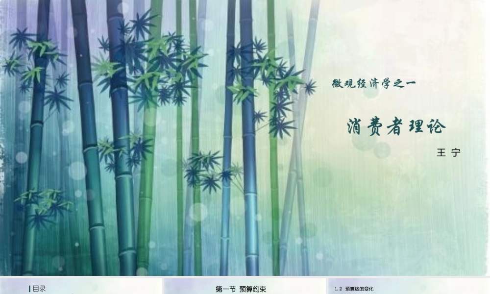 微观经济学(1).pptx