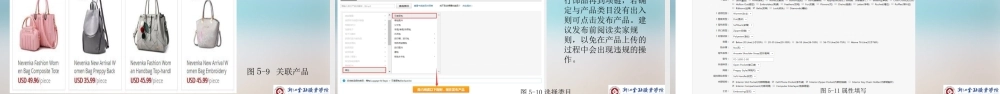 学习情境五跨境产品定价、刊登和发布操作-新.pptx