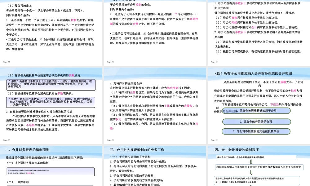 第十章合并会计报表.ppt