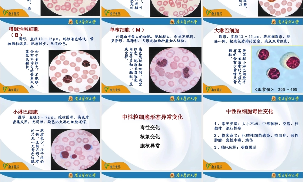 a4.血液一般检验2(1).ppt