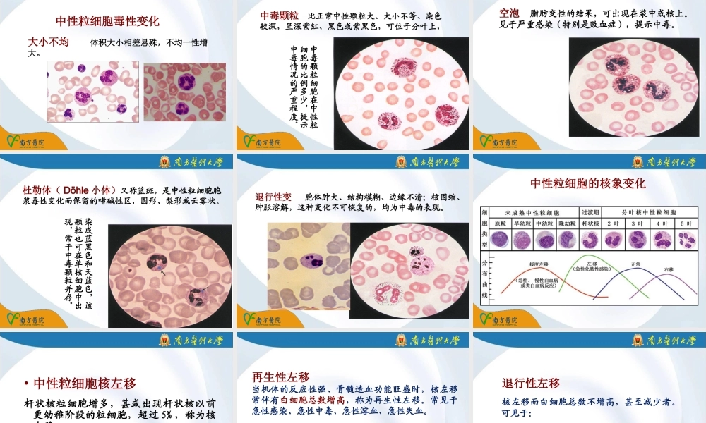 a4.血液一般检验2(1).ppt