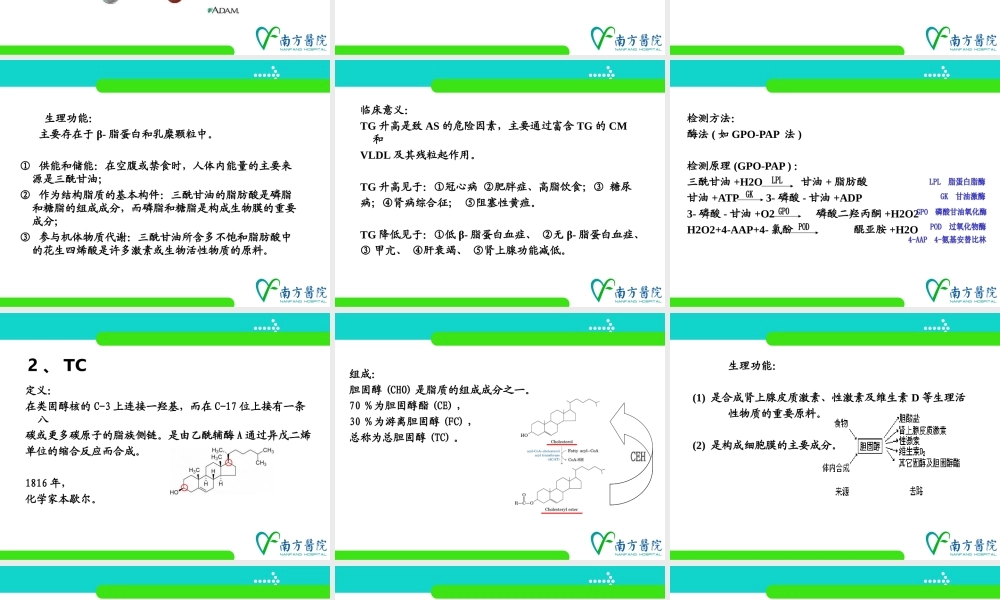 c5血脂代谢紊乱(1).ppt