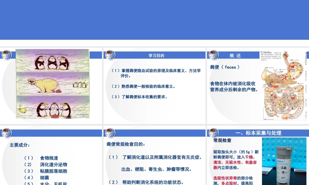 a9.粪便检查(1).ppt