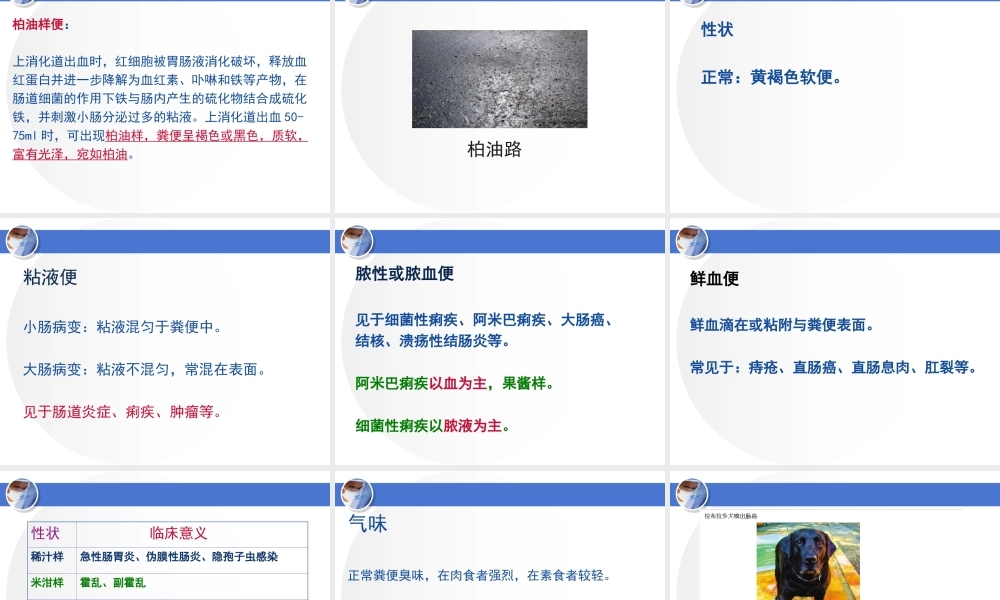 a9.粪便检查(1).ppt