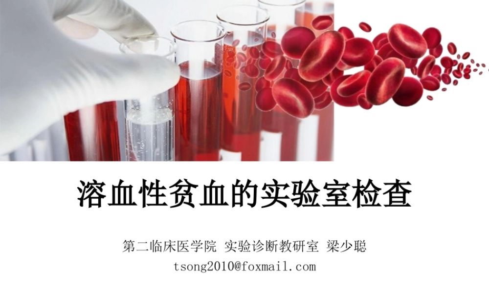 a6.溶贫的实验室检查(1).pptx