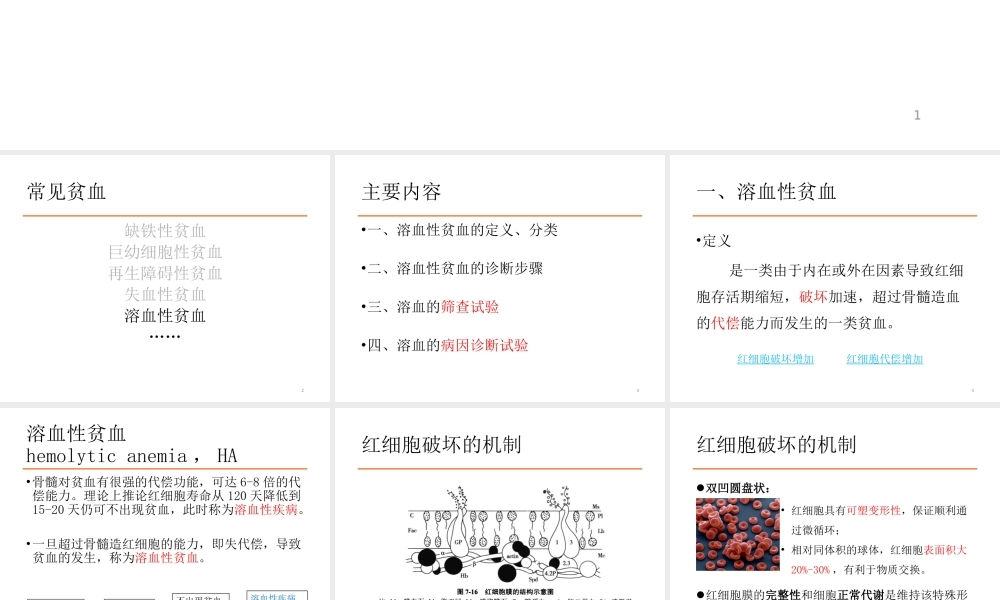 a6.溶贫的实验室检查(1).pptx