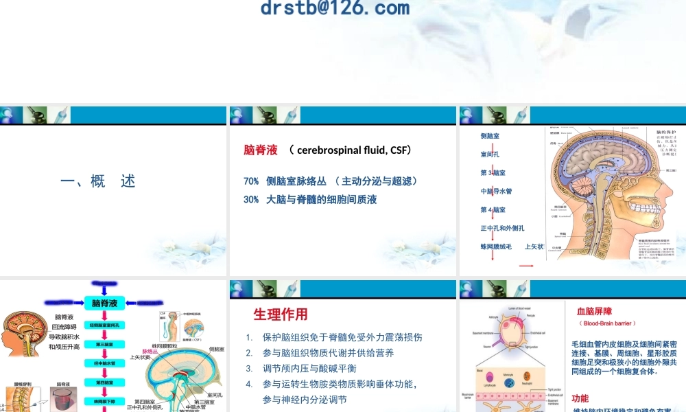 b3脑脊液(1).ppt