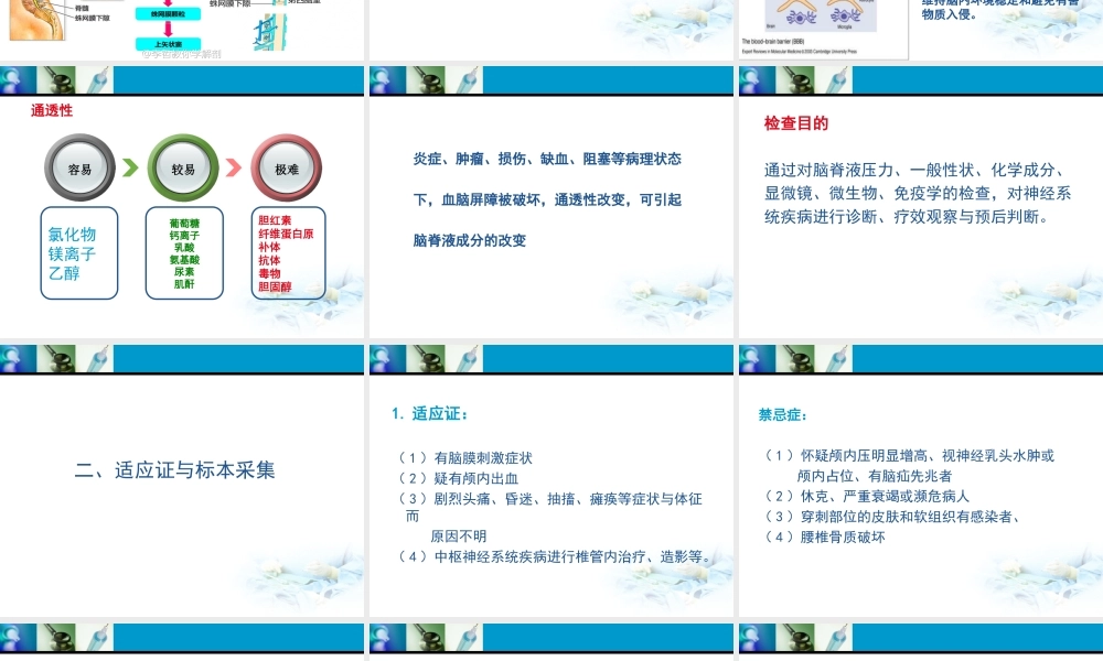 b3脑脊液(1).ppt