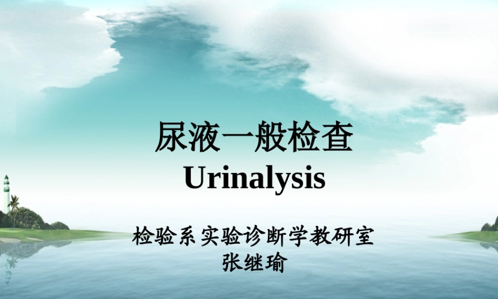 b2.尿液一般检查(1).ppt