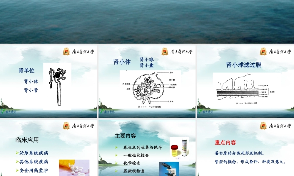 b2.尿液一般检查(1).ppt