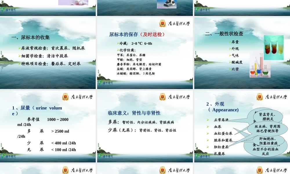 b2.尿液一般检查(1).ppt