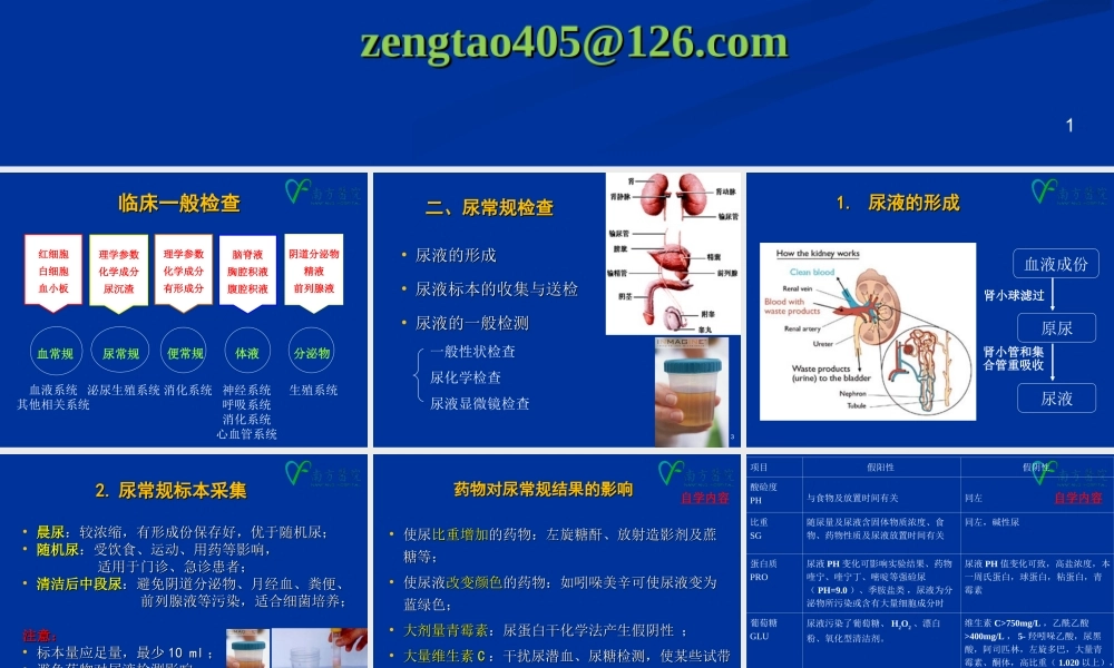 b1.尿、便、分泌物、体液常规检查(1).ppt