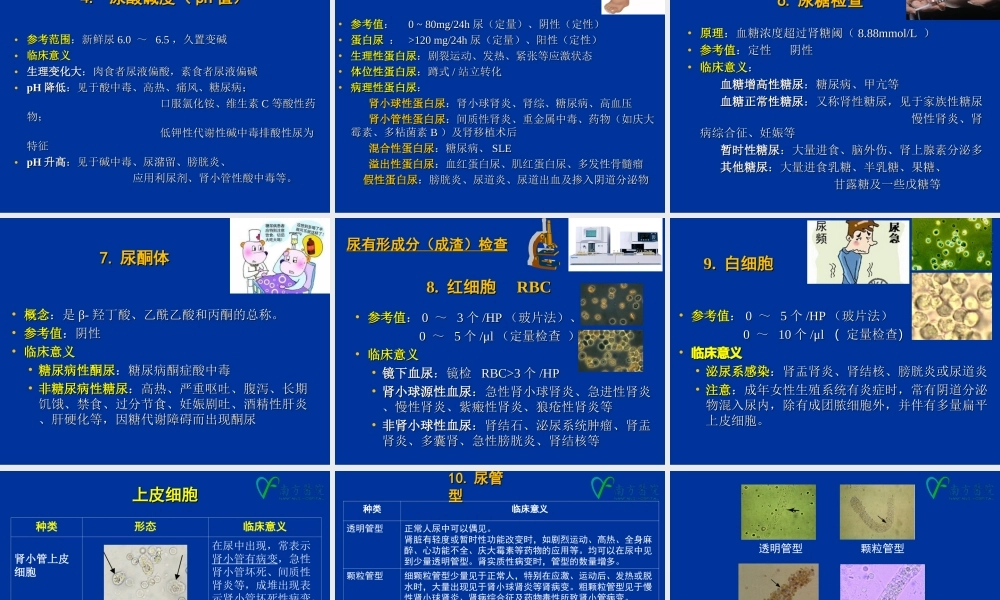 b1.尿、便、分泌物、体液常规检查(1).ppt