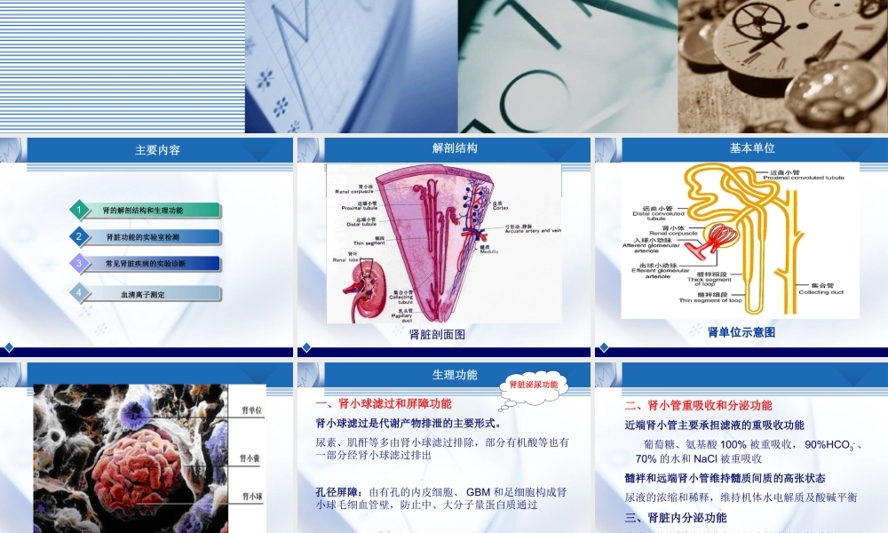 b8肾脏疾病(1).ppt