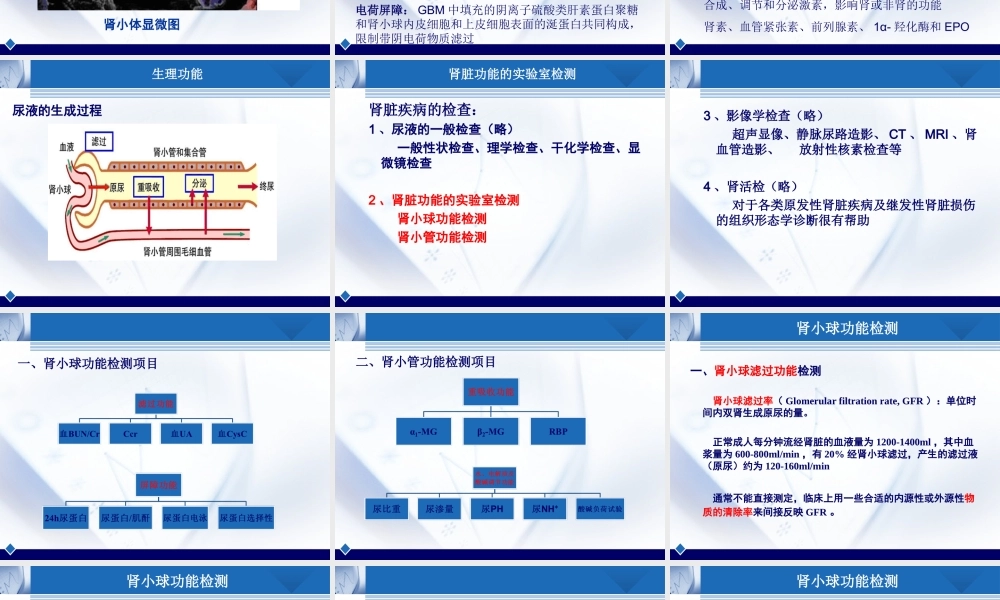 b8肾脏疾病(1).ppt