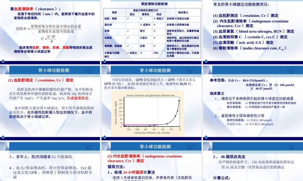b8肾脏疾病(1).ppt