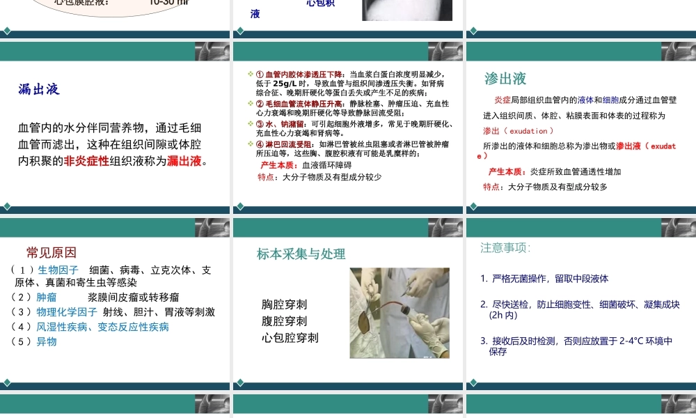 b4浆膜腔液(1).ppt