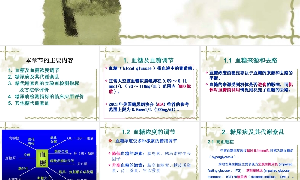 c4糖代谢紊乱(1).ppt