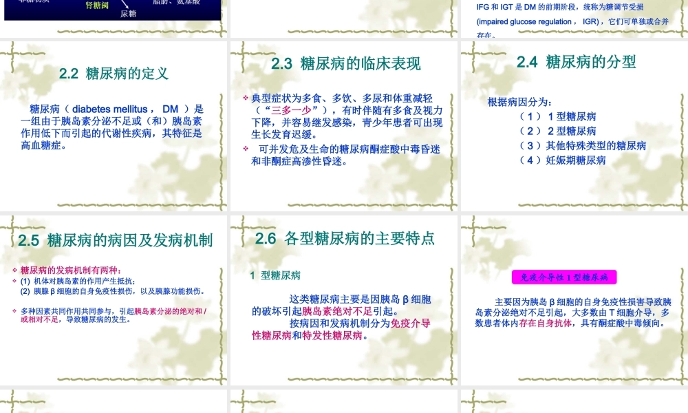 c4糖代谢紊乱(1).ppt