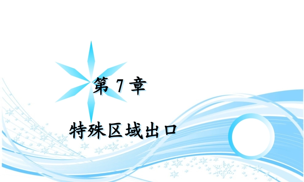 第7章 特殊区域出口(1).ppt