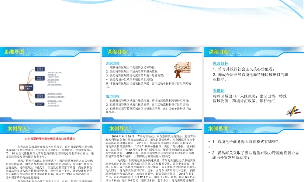 第7章 特殊区域出口(1).ppt